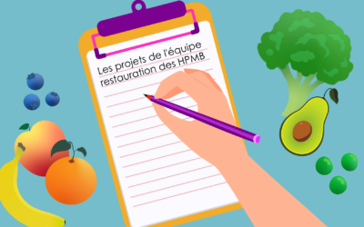Les projets de l’équipe restauration